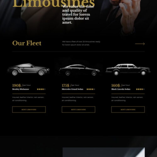 Агентство по прокату лимузинов. Создание сайтов