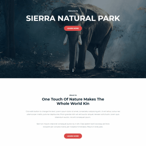 создание +и разработка сайтов