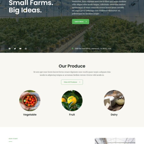 услуги по ссзданию сайтов